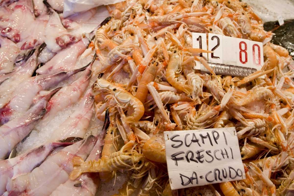 Italy, Venice Scampi and other fish at market art print by Wendy Kaveney for $57.95 CAD