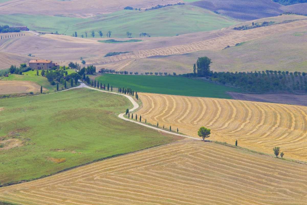 Italy, Tuscany, Pienza Tuscan landscape art print by Gilles Delisle for $57.95 CAD