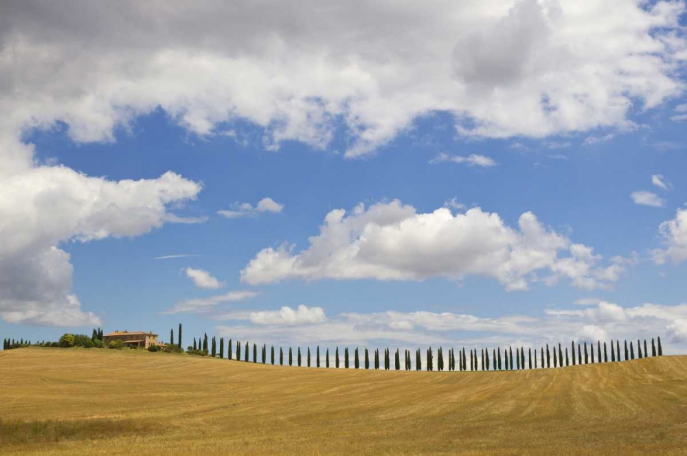 Italy, Tuscany Cypress tree alley and farm house art print by Gilles Delisle for $57.95 CAD