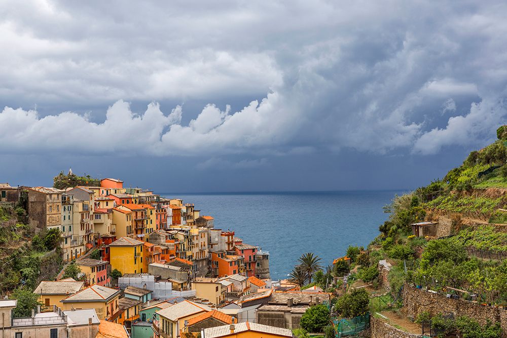 Europe-Italy-Manarola-Landscape with town and ocean art print by Jaynes Gallery for $57.95 CAD