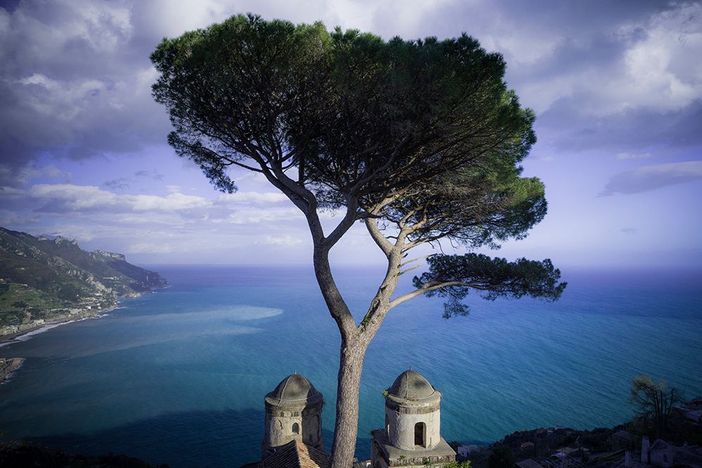 Europe-Italy-Ravello-Cypress tree and church domes overlook ocean art print by Jaynes Gallery for $57.95 CAD