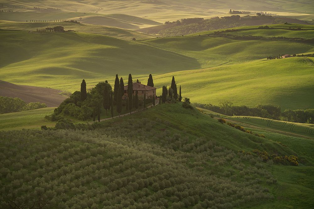 Europe-Italy-Tuscany-Val dOrcia-Belvedere farmhouse at sunrise art print by Jaynes Gallery for $57.95 CAD