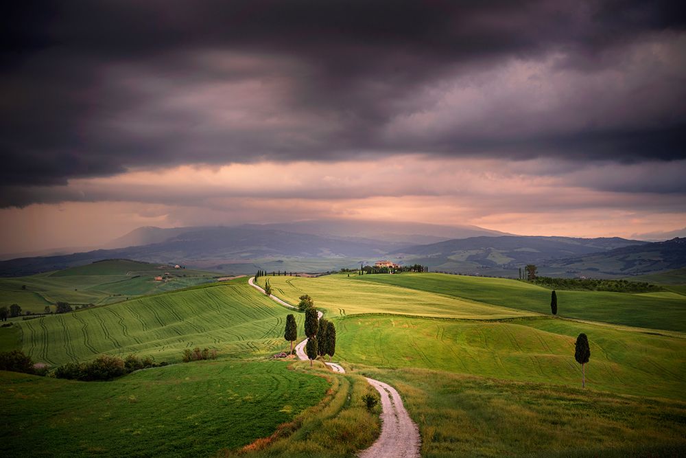 Europe-Italy-Tuscany-Val dOrcia-Road through farming landscape art print by Jaynes Gallery for $57.95 CAD