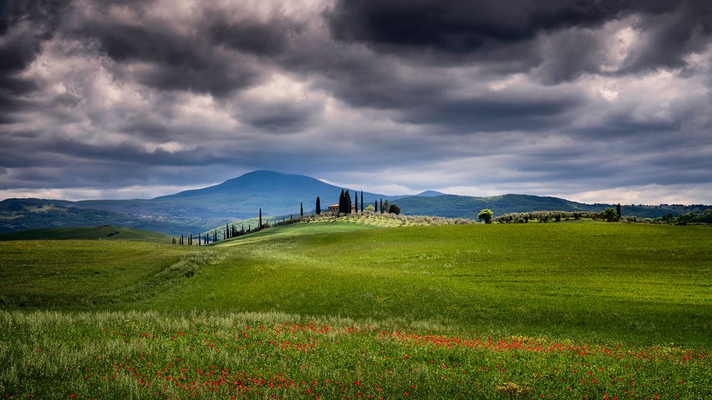 Europe-Italy-Tuscany-Val d Orcia-Farmland under stormy sky art print by Jaynes Gallery for $57.95 CAD