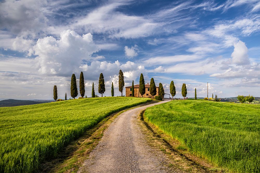 Europe-Italy-Tuscany-Val d Orcia-Road to Il Cipressini farmhouse art print by Jaynes Gallery for $57.95 CAD