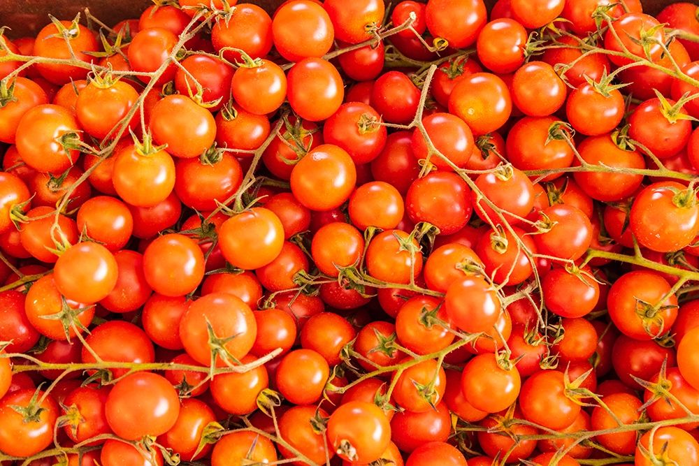 Trapani Province-Trapani Tomatoes for sale at the market in the town of Trapani art print by Emily Wilson for $57.95 CAD