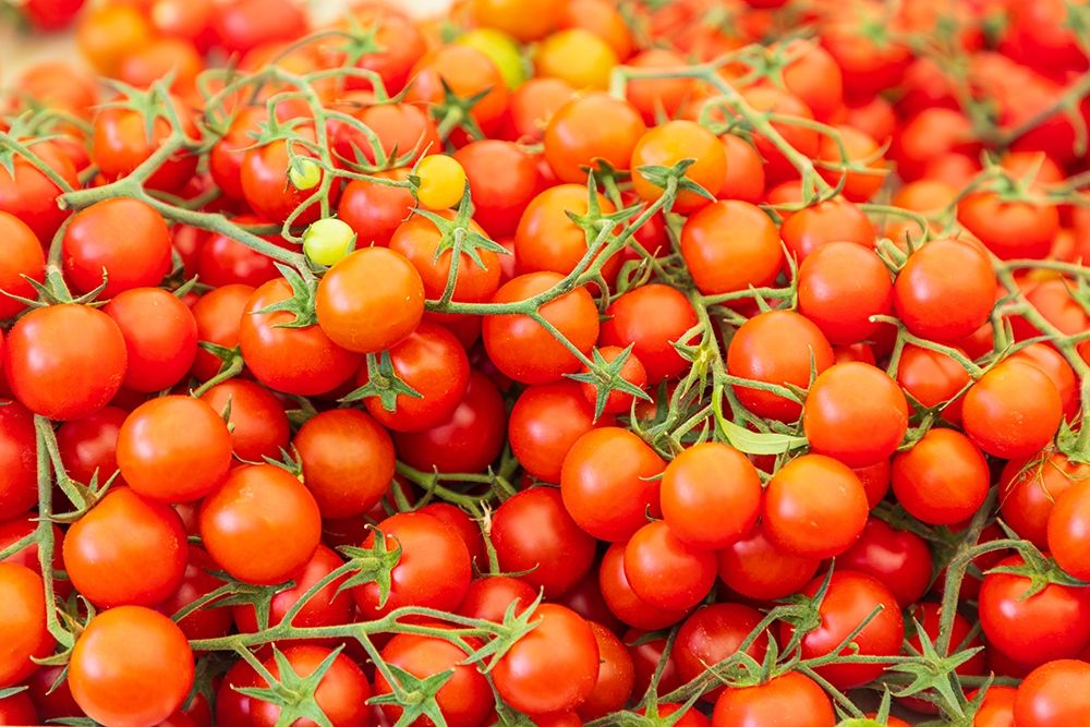Italy-Apulia-Metropolitan City of Bari-Locorotondo Tomatoes for sale in an outdoor market art print by Emily Wilson for $57.95 CAD
