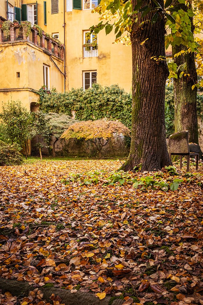 Beautiful courtyard in Lucca, Italy in autumn. art print by George and Marilu Theodore for $57.95 CAD