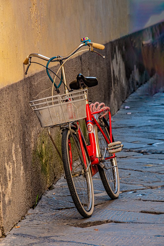 Red bicycle leaning against a wall in an alley. art print by George and Marilu Theodore for $57.95 CAD