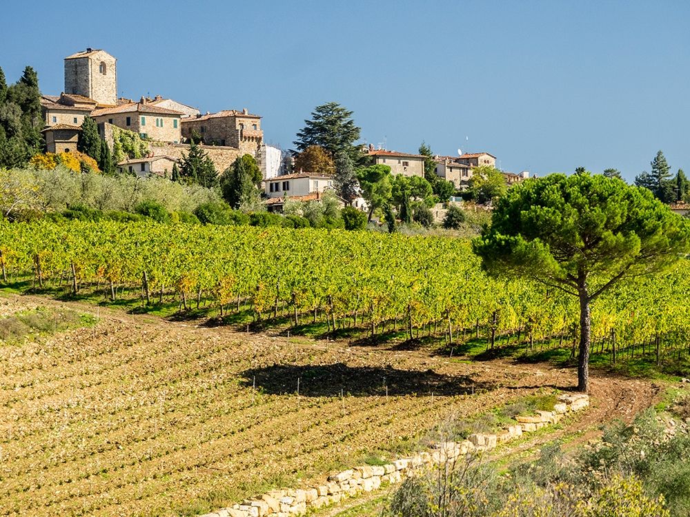 Italy-Chianti Tuscan homes in the town of Panzano with vineyard below art print by Julie Eggers for $57.95 CAD
