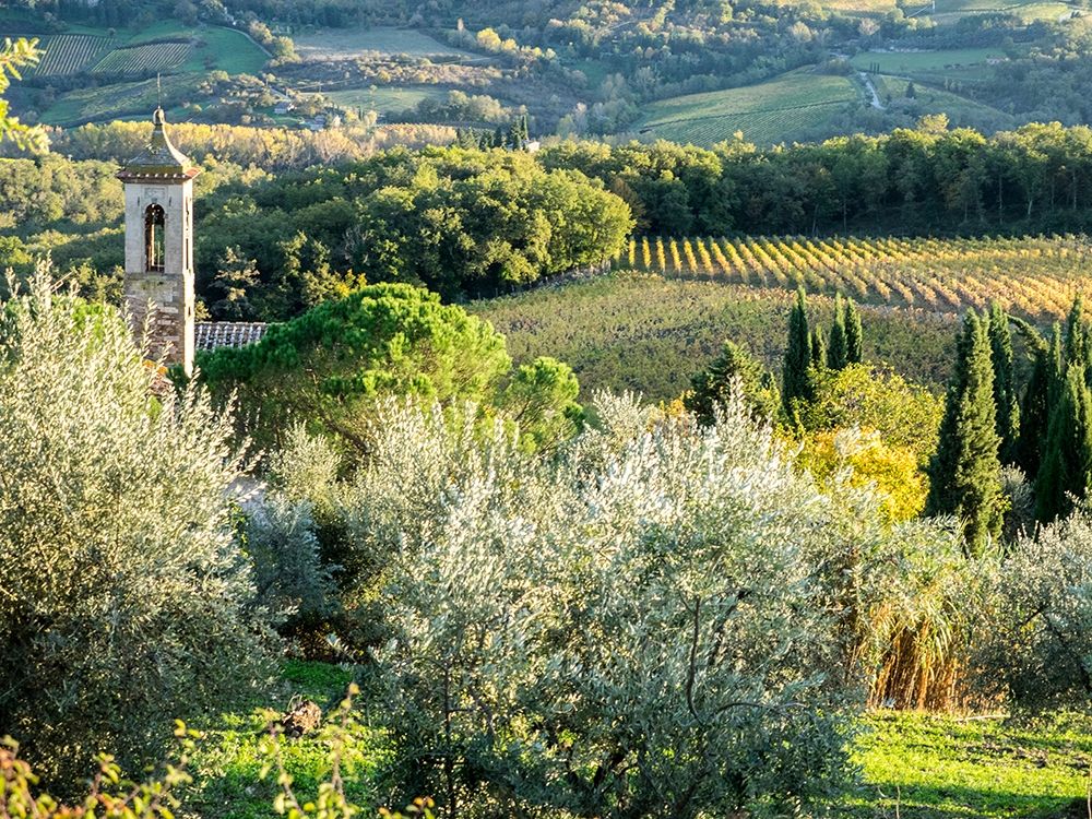 Italy-Chianti Pieve di Santa Maria Novella near Radda in Chianti art print by Julie Eggers for $57.95 CAD