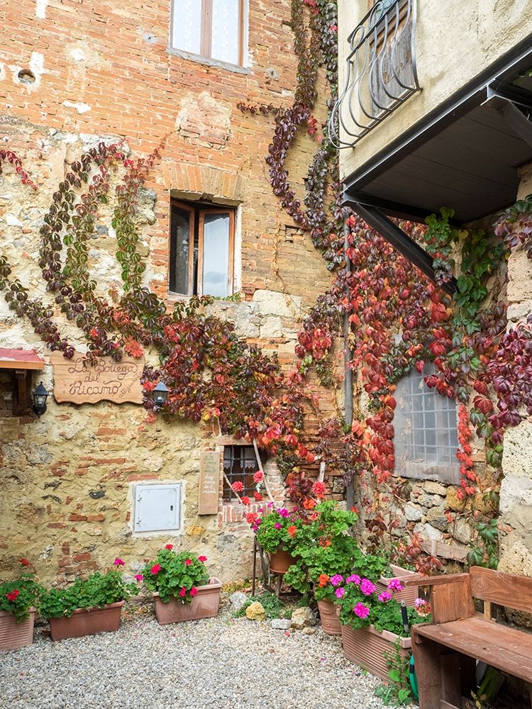 Italy-Chianti Back street alleyway with fall colored climbing vine art print by Julie Eggers for $57.95 CAD