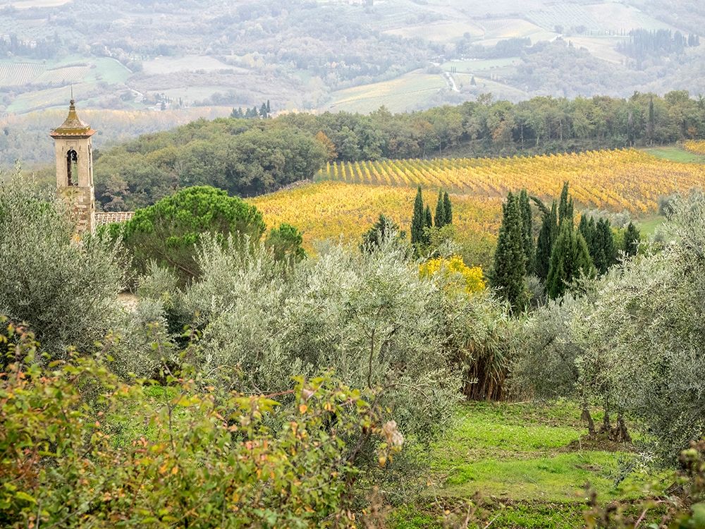 Italy-Chianti Pieve di Santa Maria Novella near Radda in Chianti art print by Julie Eggers for $57.95 CAD