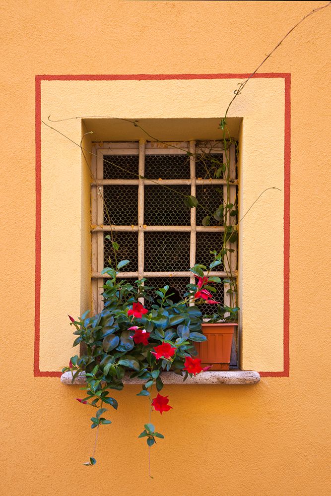 Italy-Tuscany-Montepulciano Potted plant on a windowsill in the hill town of Montepulciano art print by Julie Eggers for $57.95 CAD