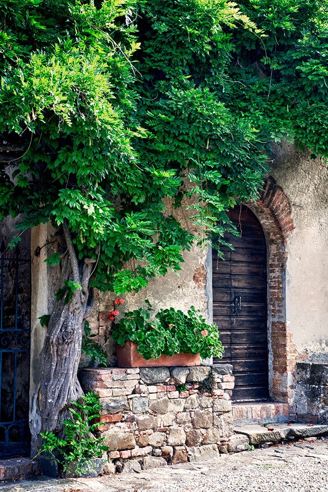 Italy-Tuscany Courtyard of an agriturismo near the hill town of Montalcino art print by Julie Eggers for $57.95 CAD