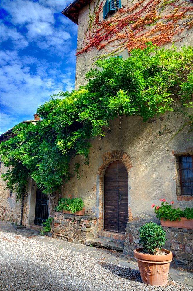 Italy-Tuscany Courtyard of an agriturismo near the hill town of Montalcino art print by Julie Eggers for $57.95 CAD