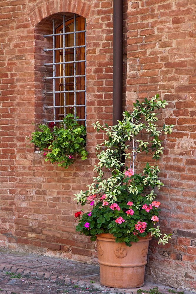Italy-Tuscany-Crete Senesi-Asciano Street scene with potted flowers art print by Julie Eggers for $57.95 CAD