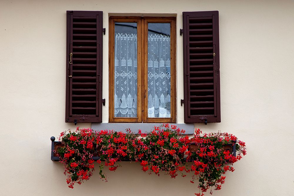 Italy-Radda in Chianti Flower boxes with red geraniums below a window with shutters art print by Julie Eggers for $57.95 CAD