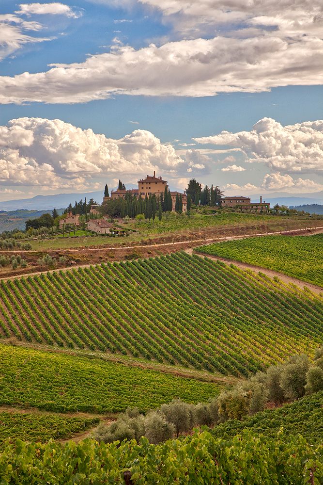 Italy-Tuscany A view of the vineyards and villa in Chianti region of Tuscany-Italy art print by Julie Eggers for $57.95 CAD