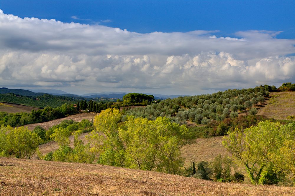 Italy-Tuscany Tuscan landscape art print by Julie Eggers for $57.95 CAD