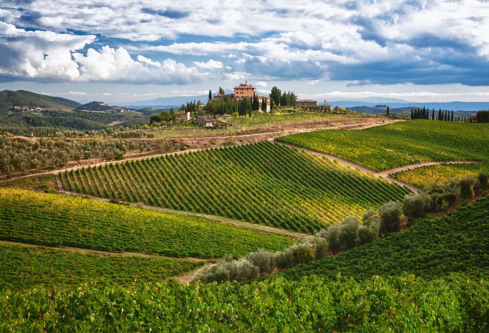 Italy-Tuscany A view of the vineyards and villa in Chianti region of Tuscany-Italy art print by Julie Eggers for $57.95 CAD