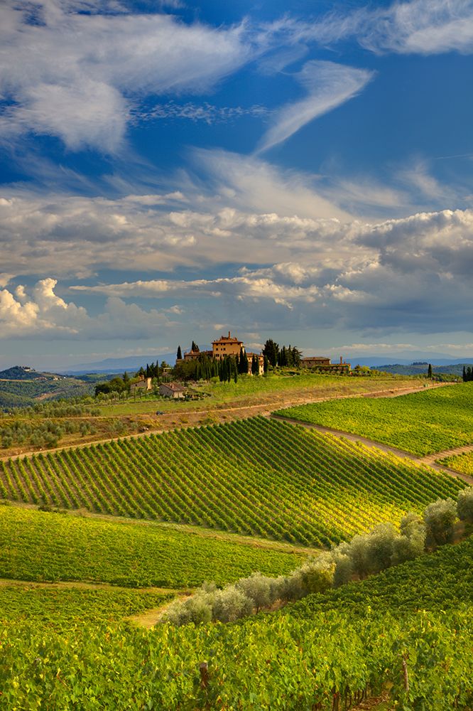 Italy-Tuscany A view of the vineyards and villa in Chianti region of Tuscany-Italy art print by Julie Eggers for $57.95 CAD