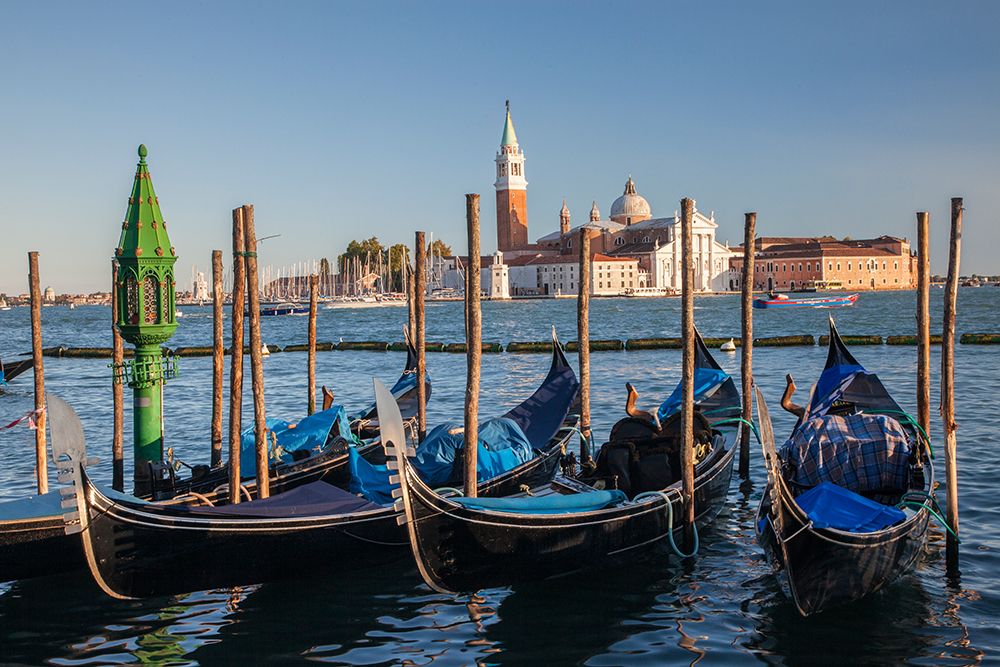 Italy-Venice View of gondolas in front of Piazza San Marco (St Marks Square) art print by Julie Eggers for $57.95 CAD