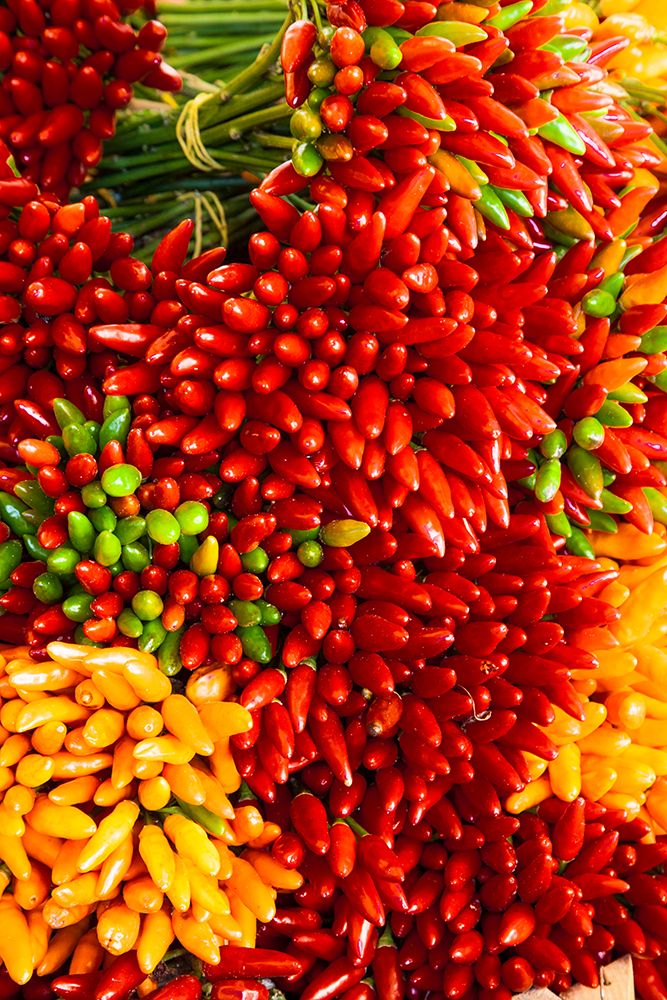 Italy-Venice Colorful spicy peppers (pepperoncini) on display and for sale in the Rialto Market art print by Julie Eggers for $57.95 CAD