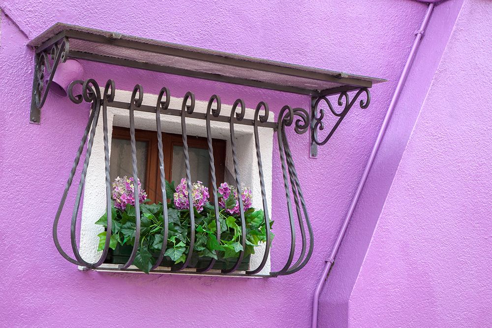 Italy-Venice-Burano Island Potted hydrangeas on a window sill of a lavender house art print by Julie Eggers for $57.95 CAD