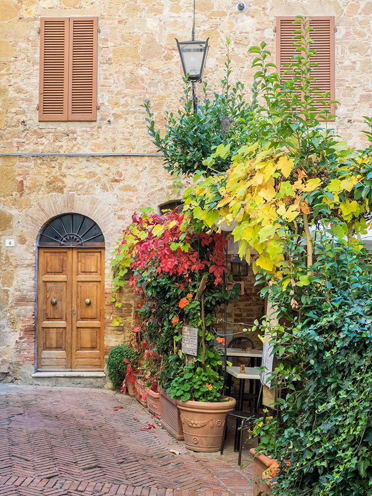 Italy-Tuscany-Pienza Doorway surrounded by flowers art print by Julie Eggers for $57.95 CAD