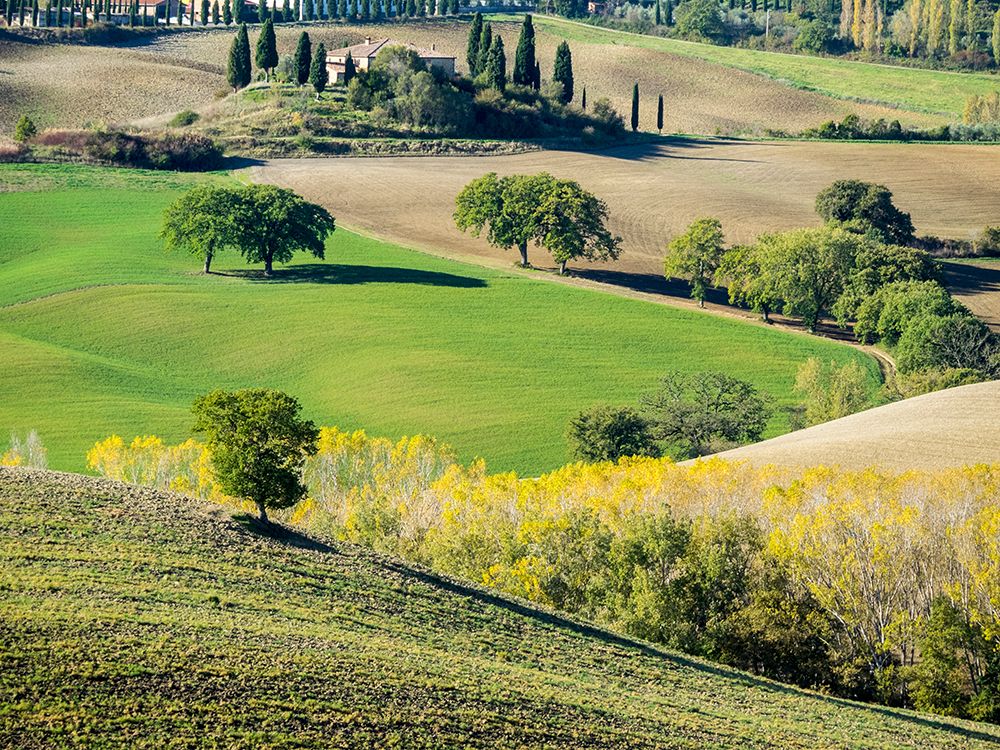 Italy-Tuscany Tuscan landscape art print by Julie Eggers for $57.95 CAD