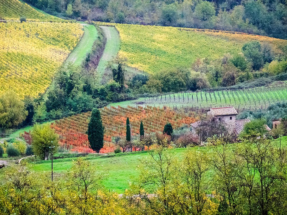 Italy-Tuscany View of the Tuscan countryside art print by Julie Eggers for $57.95 CAD