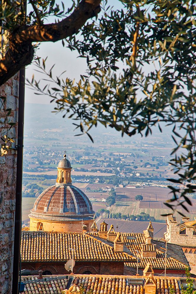 Italy- Umbria- Assisi. The dome of the Convento Chiesa Nuova with the countryside in the distance. art print by Julie Eggers for $57.95 CAD
