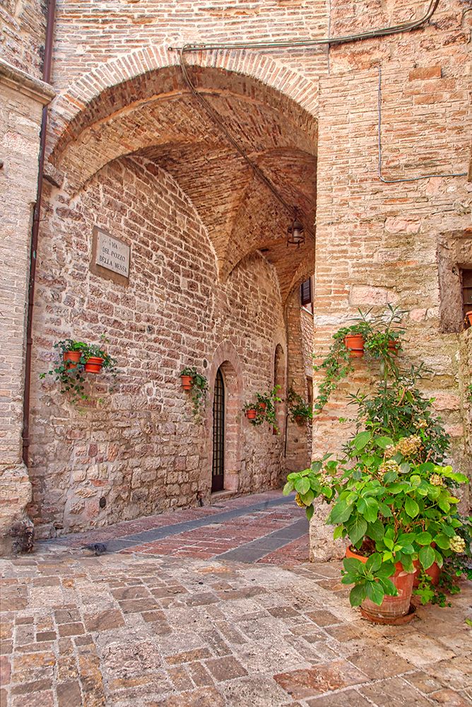 Italy- Umbria. Archway with potted flowers in the streets of Assisi. art print by Julie Eggers for $57.95 CAD