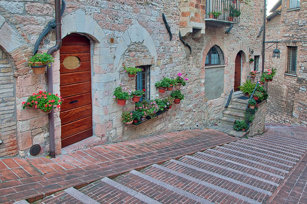Italy- Umbria- Assisi. Walkway along the streets of Assisi lined with flowering pots. art print by Julie Eggers for $57.95 CAD