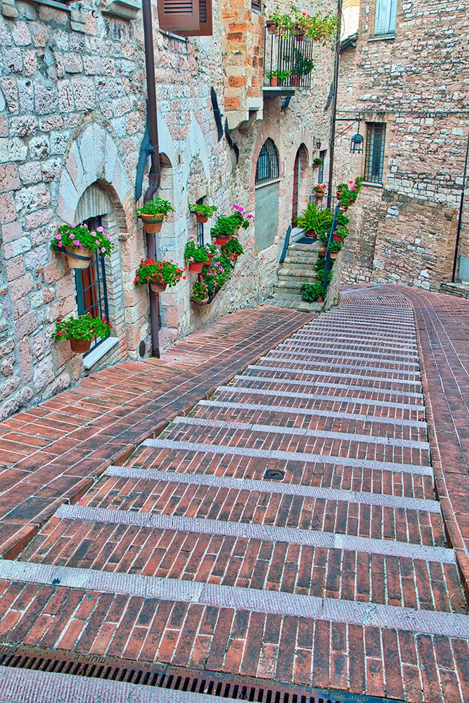 Italy- Umbria- Assisi. Walkway along the streets of Assisi lined with flowering pots. art print by Julie Eggers for $57.95 CAD