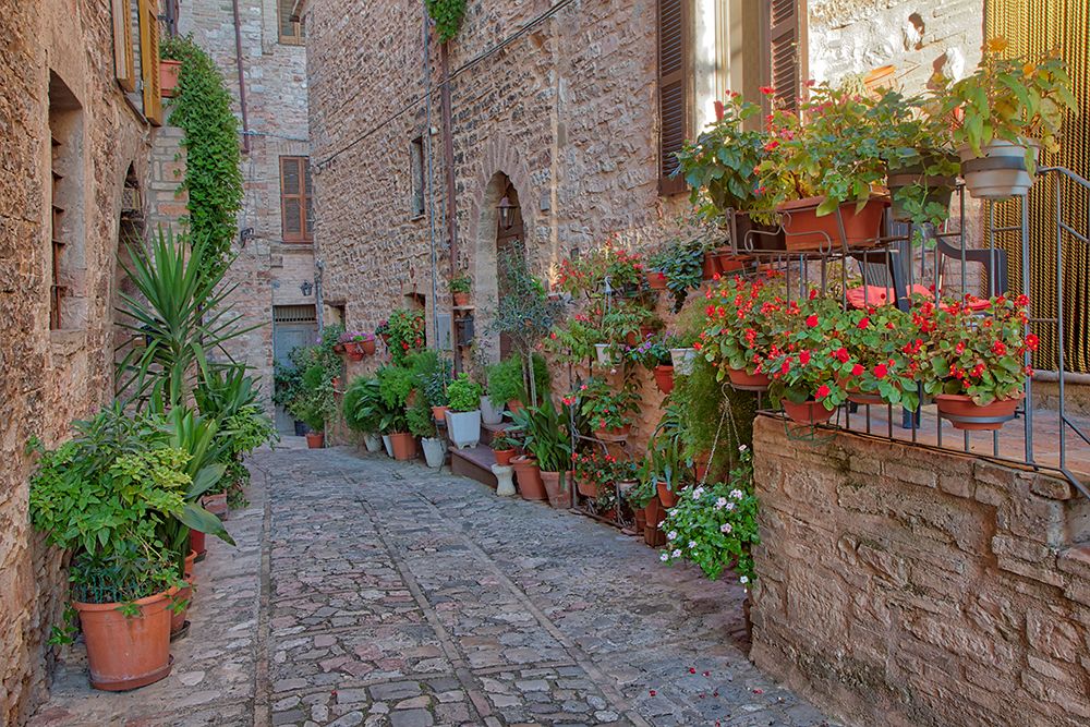 Italy- Umbria. Scenic sight in Spello- flowery and picturesque village. art print by Julie Eggers for $57.95 CAD