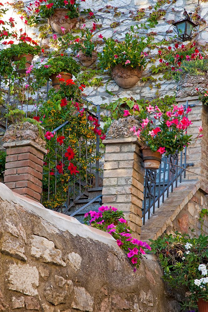 Italy- Umbria- Assisi. Entrance to a home with flowering pots on stone wall. art print by Julie Eggers for $57.95 CAD