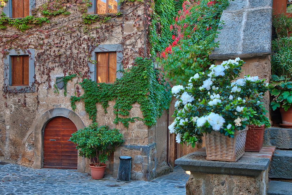 Italy- Tuscany. In and around the medieval hilltown of Civita di Bagnoregio. art print by Julie Eggers for $57.95 CAD