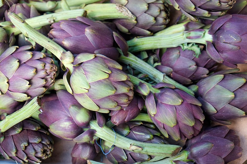 Palermo, Sicily. Artichokes for sale at the Ballaro market art print by Julien McRoberts for $57.95 CAD