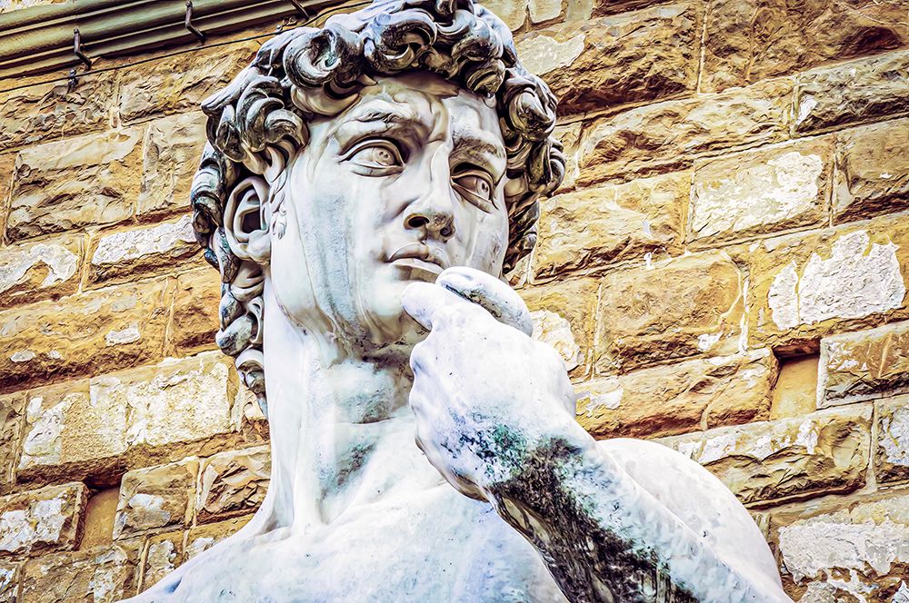 Florence, Italy. Copy of statue of Michelangelos David at entrance to Palazzo Vecchio. art print by Murray McCallum for $57.95 CAD
