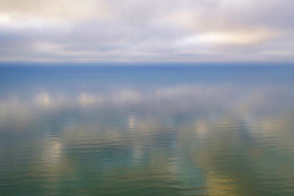 Italy-Riserva Naturale di Massaciuccoli San Rossore-protected coastal forest in Tuscany art print by Michele Molinari for $57.95 CAD