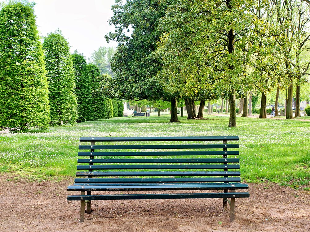 Italy, Lombardy, Mantua. Piazza Virgiliana public park. Wooden bench. art print by Michele Molinari for $57.95 CAD