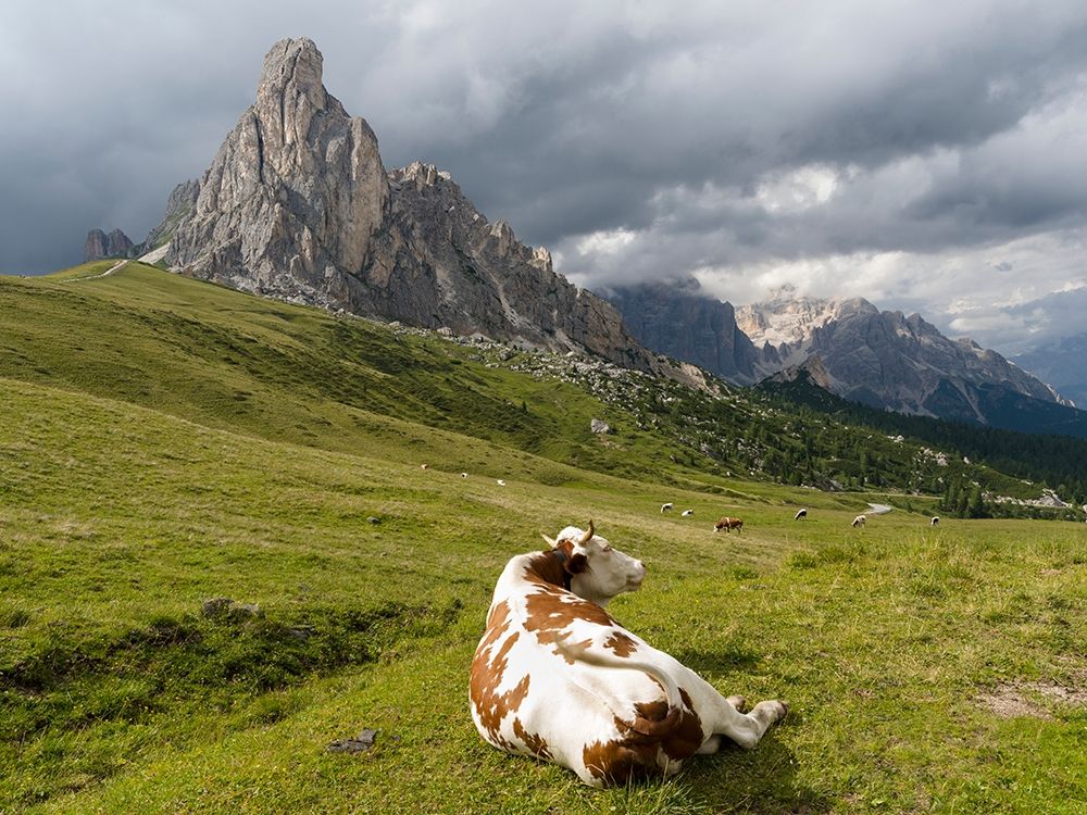 Dolomites at Passo Giau Ra Gusela and Tofane art print by Martin Zwick for $57.95 CAD