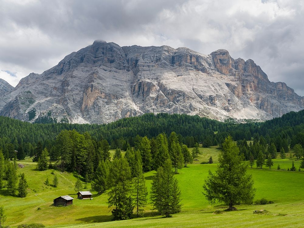 Mountain range Kreuzkofel-Sasso Santa Croce in the nature park Fanes Sennes Prags art print by Martin Zwick for $57.95 CAD
