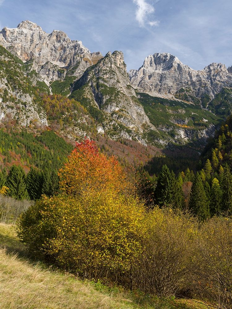 Peaks of Dolomiti di Brenta high above Val dAlgone Dolomiti di Brenta  Italy-Trentino art print by Martin Zwick for $57.95 CAD