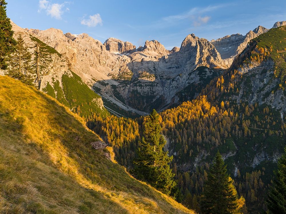 Peaks of Dolomiti di Brenta high above Val dAgola Dolomiti di Brenta  Italy-Trentino art print by Martin Zwick for $57.95 CAD