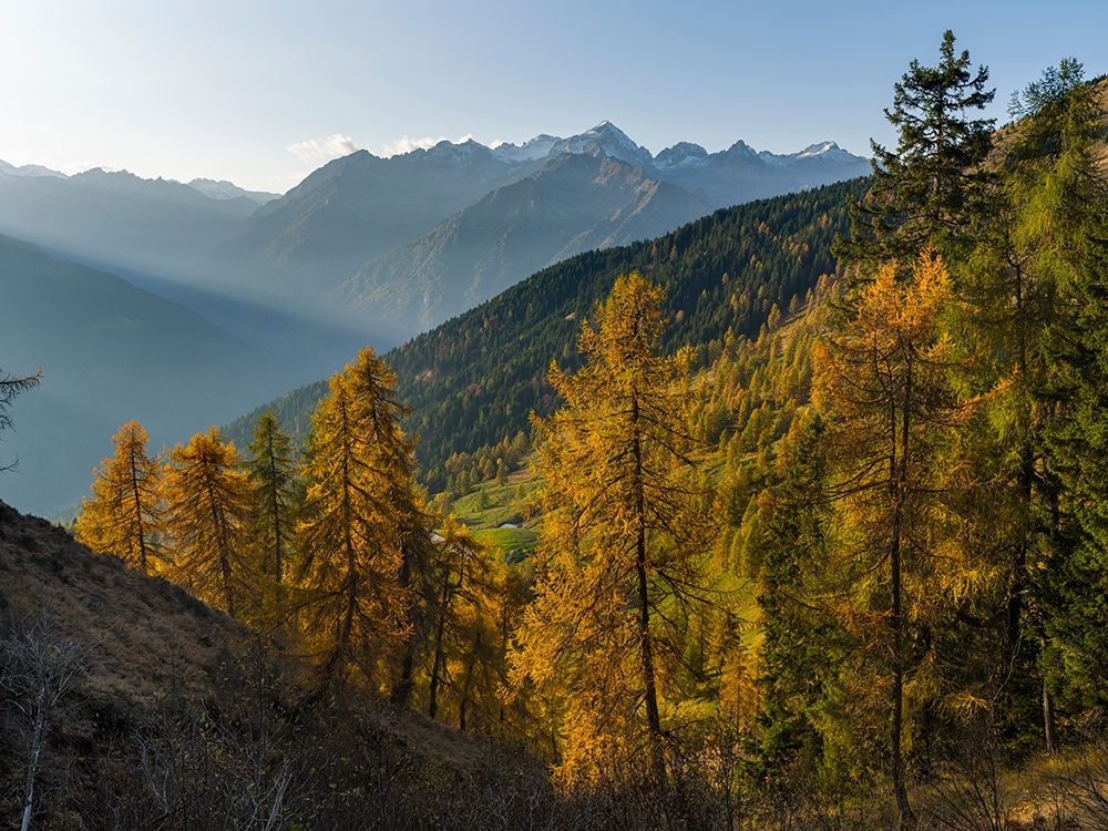 Peaks of Presanella mountain range above Val Rendena-seen from Brenta mountain range Italy art print by Martin Zwick for $57.95 CAD
