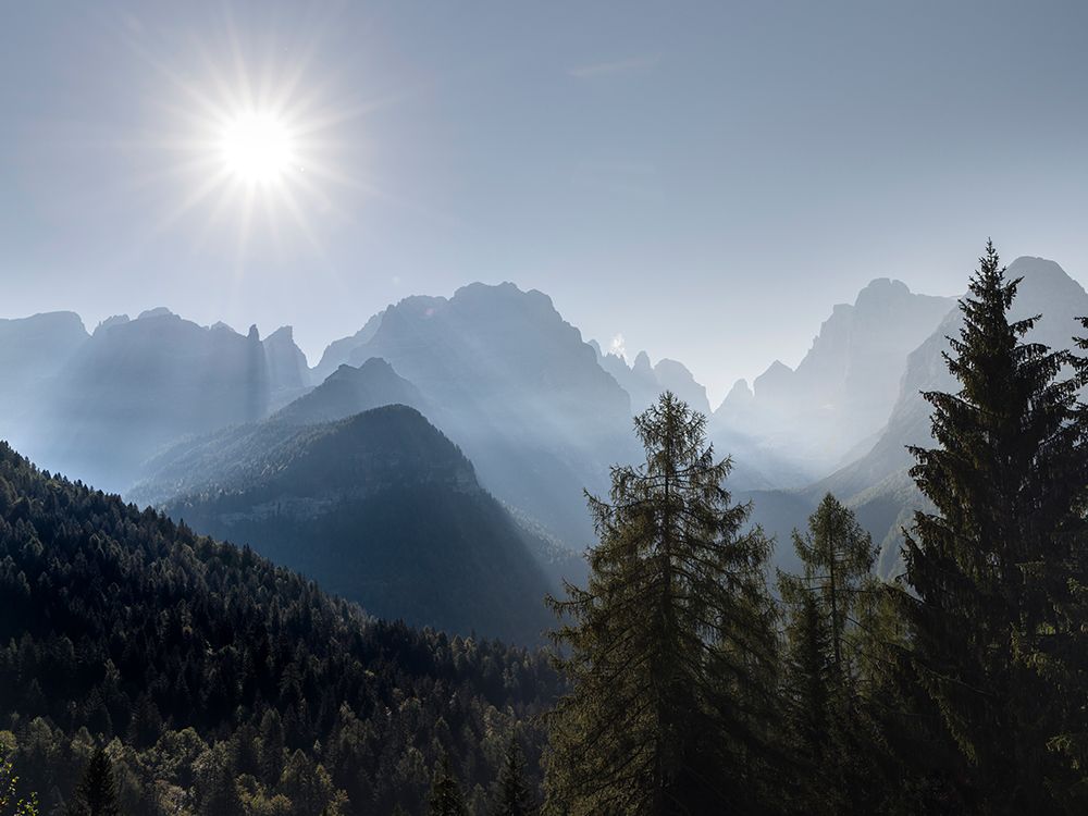View from Val Rendena towards the Brenta Dolomites-UNESCO World Heritage Site-Italy-Trentino-Val Re art print by Martin Zwick for $57.95 CAD