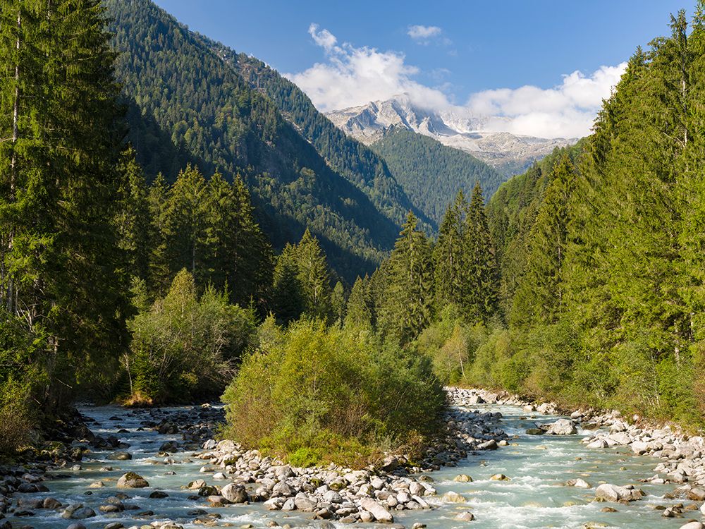River Sarca-Val di Genova in the Parco Naturale Adamello-Brenta-Trentino-Italy-Val Rendena art print by Martin Zwick for $57.95 CAD